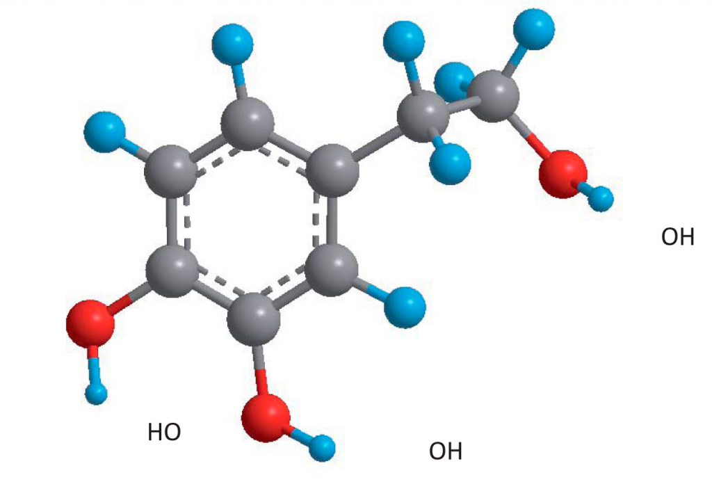 Molécula de hidroxitirosol